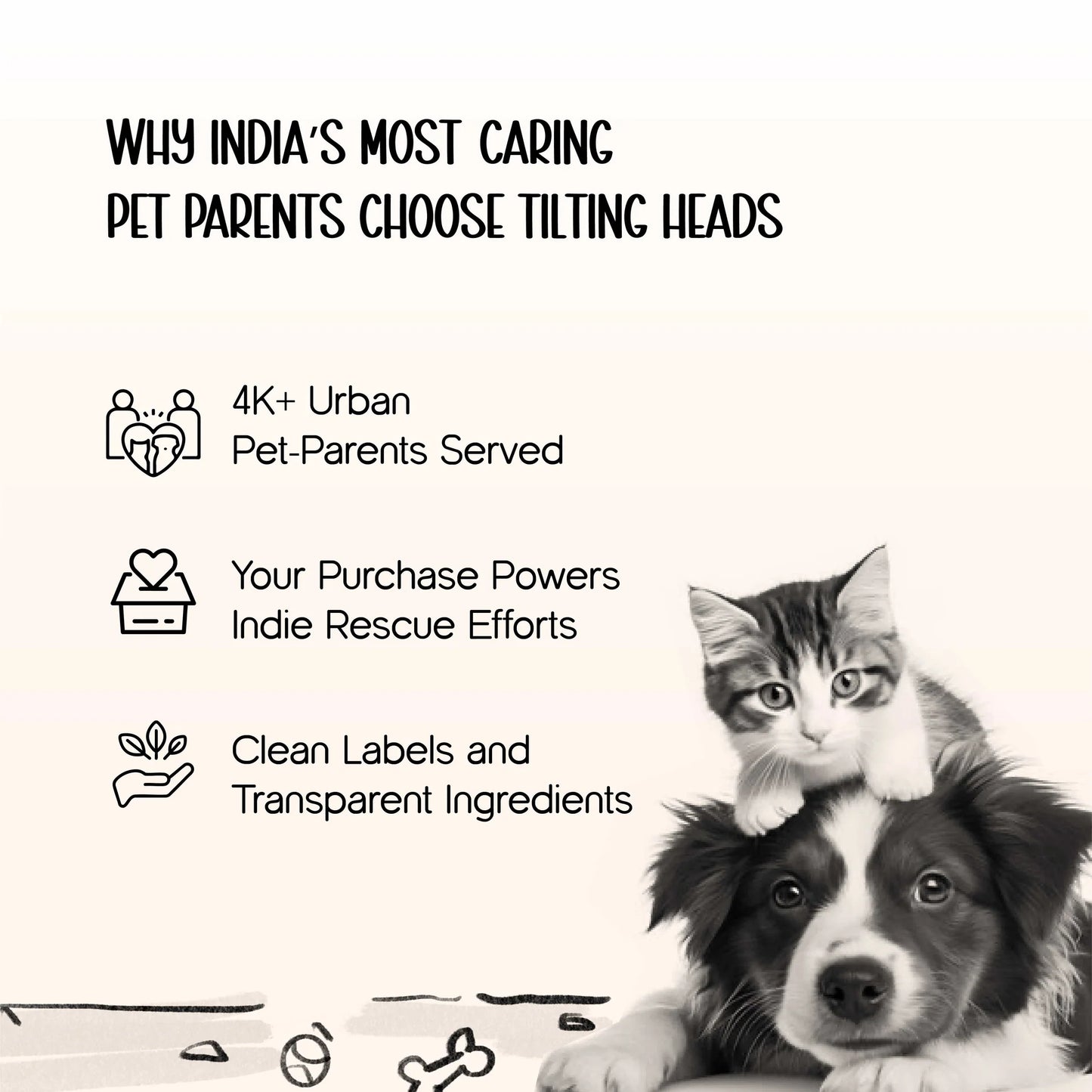 Luxury Pet Carrier Bag | Airline-Friendly Design