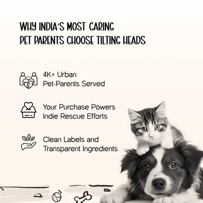 Luxury Pet Carrier Bag | Airline-Friendly Design