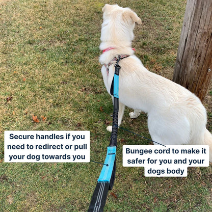 Multifunctional running waist bag-pet leash